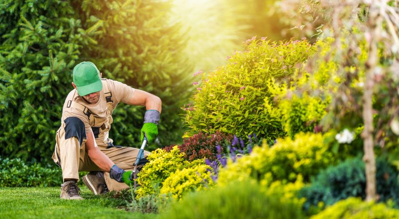 Landscaping and Outdoor Projects